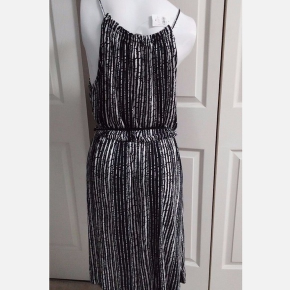 NWT LOFT DRESS! - Picture 2 of 4